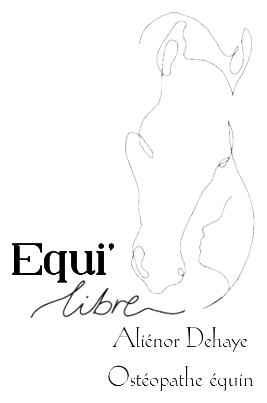 Equi'libre — Aliénor Dehaye, Ostéopathe équin