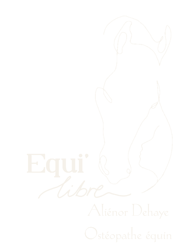 Equi'libre