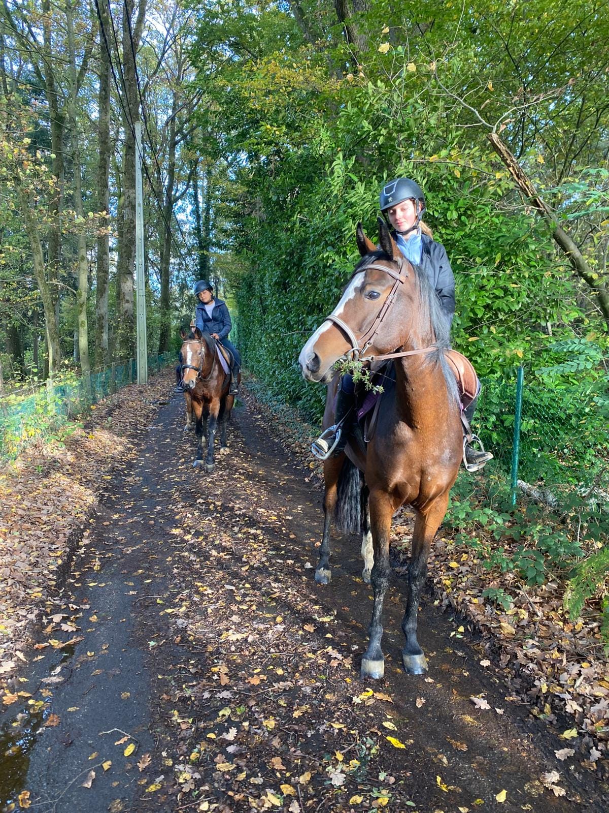 Balades à cheval en Wallonie avec Equi'libre