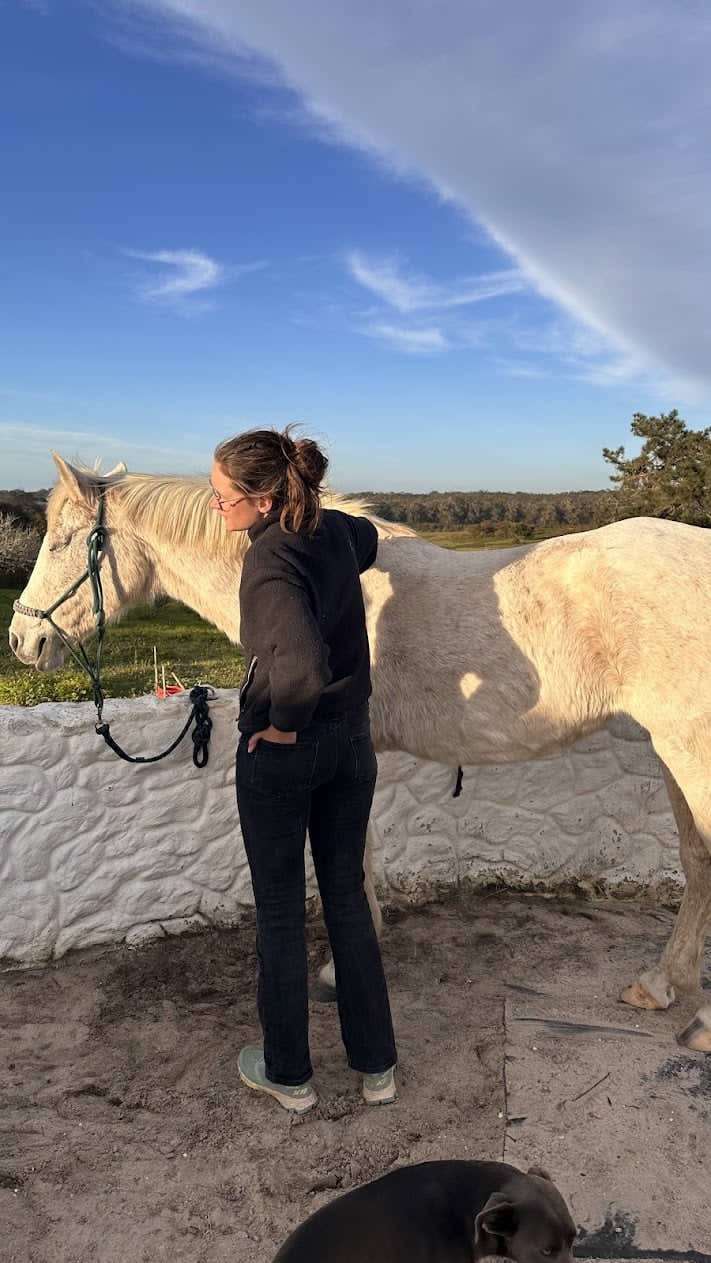 Suivi de santé annuel du cheval — ostéopathie et massage